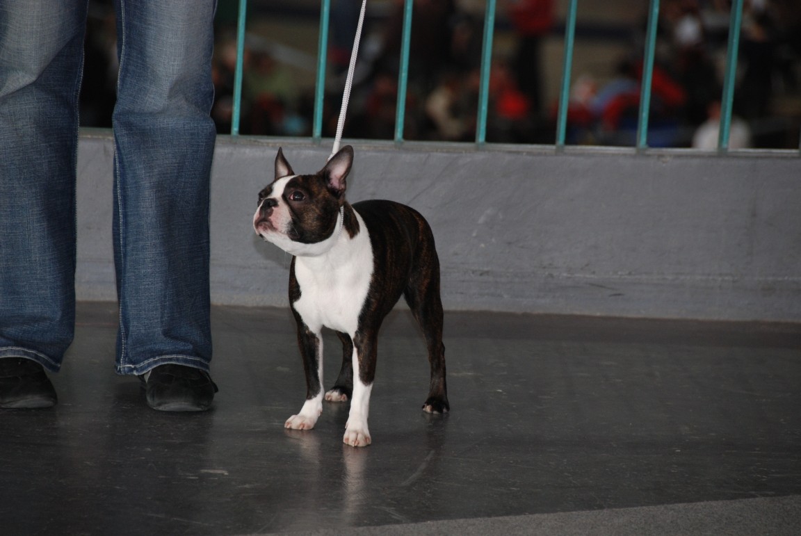 dsc_0056.jpg