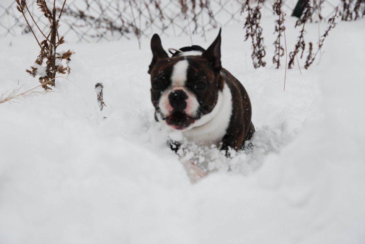 dsc_0026.jpg