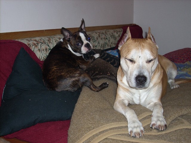 DSCN1570.JPG