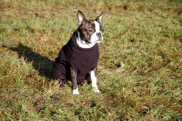 DSC_0023.JPG