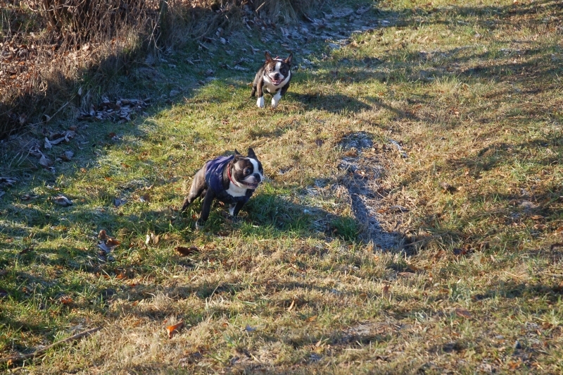 DSC_0021.JPG