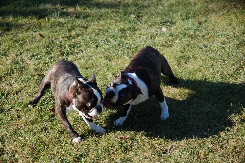 DSC_0026.JPG