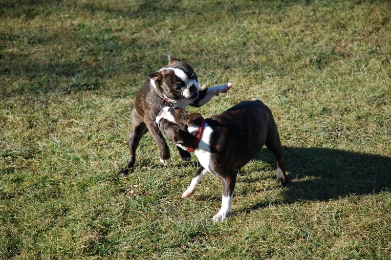 DSC_0027.JPG