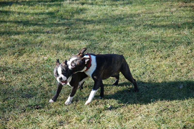 DSC_0030.JPG