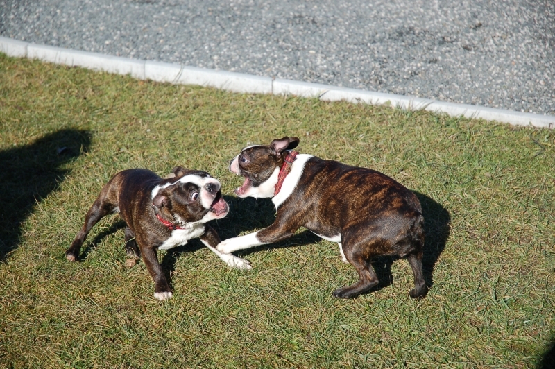 DSC_0032.JPG