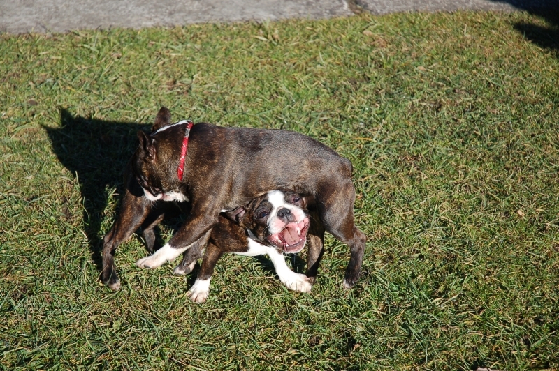 DSC_0035.JPG