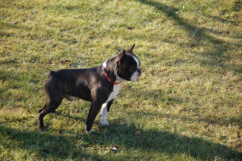 DSC_0056.JPG