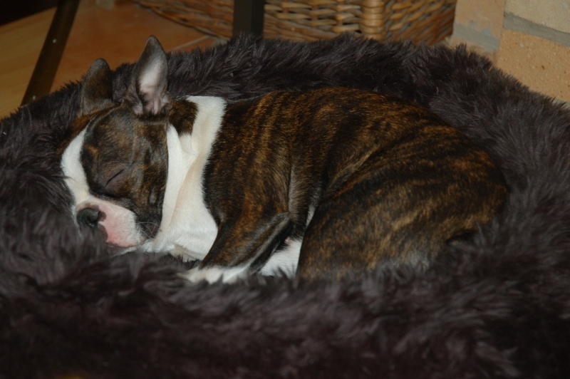 DSC_0068.JPG